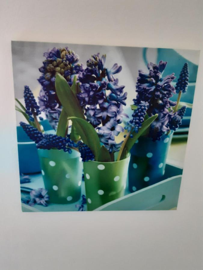 (La Parenthese) Appartement Hombourg Buitenkant foto